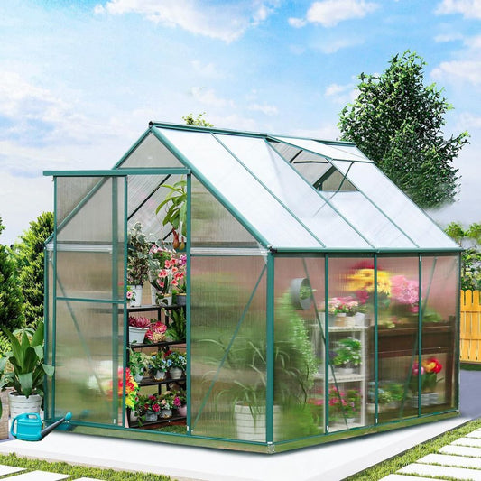 8 x 6 Ft Outdoor Polycarbonate Greenhouse Walk-in Backyard Garden Green House